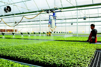 立法為加快廣東種業(yè)發(fā)展保駕護(hù)航