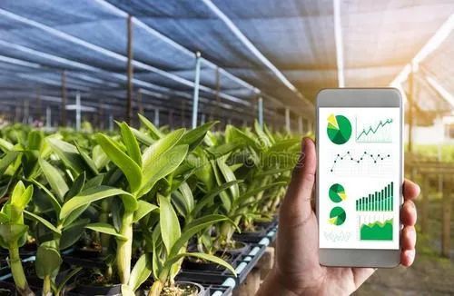 數(shù)字化種業(yè) 中國農業(yè)發(fā)展的核心變量