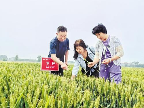 國家級展會賦能，洞見中國種業(yè)發(fā)展的新機(jī)遇